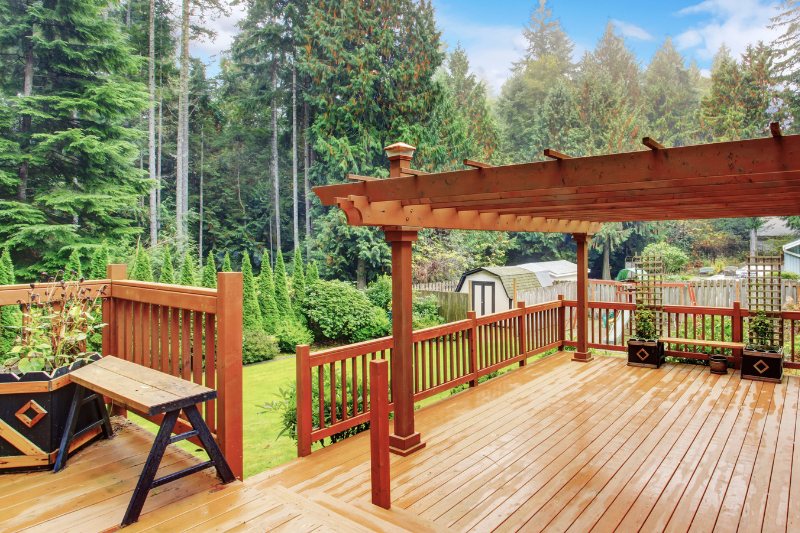 A wooden deck with a pergola, surrounded by green trees and garden plants.