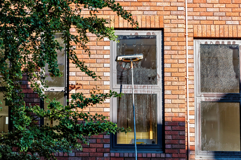 A long-handled window cleaning brush scrubs a dirty window on a red brick building. A tree in the foreground.