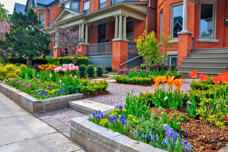A short (1 ft) natural stone retaining wall borders a colourful garden with tulips and bluebells in front of a red brick city townhouse.