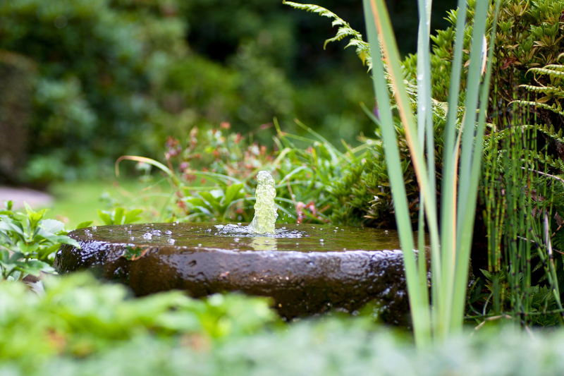 A shallow stone bubbler fountain sits in a lush green garden.